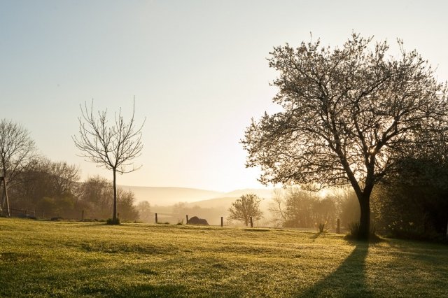 The profound magic of light as the sun rises over the Welsh mist.